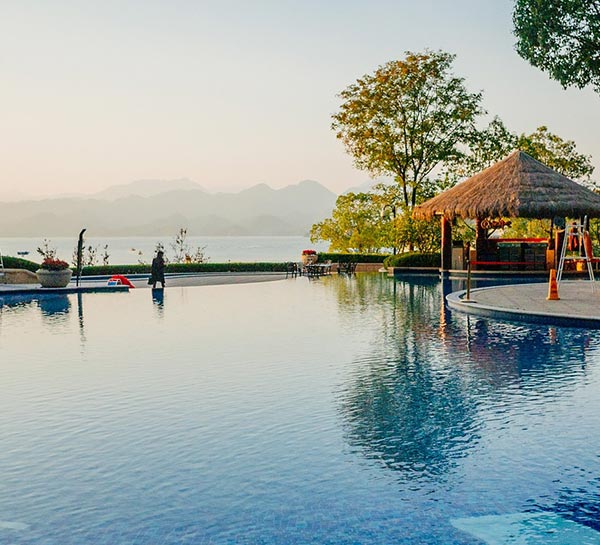 We remove leaves, dirt, and insects from the pool.